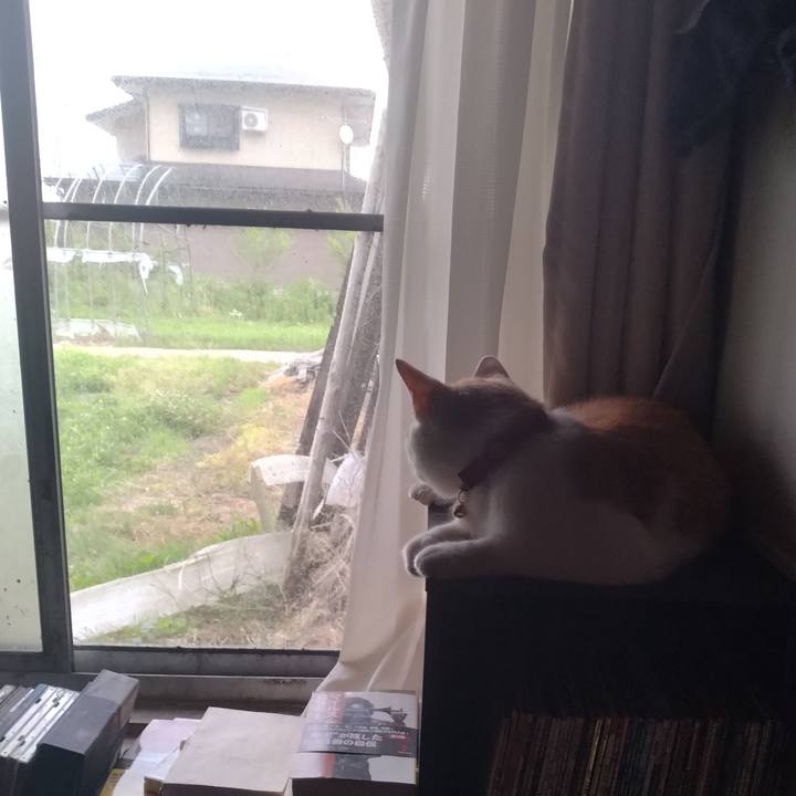 E02a9664 1972 4405 b0e3 de121b4c8076 1750628672422