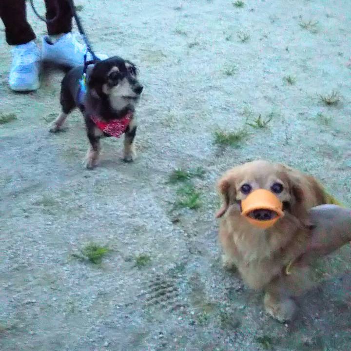 E02a9e5e d8e3 4ea8 aa2d 253742567500 1596201849668