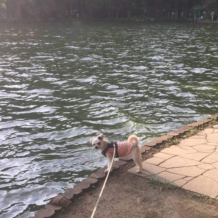 E02acd87 2801 4408 92c9 e090f0408203 1565950355214