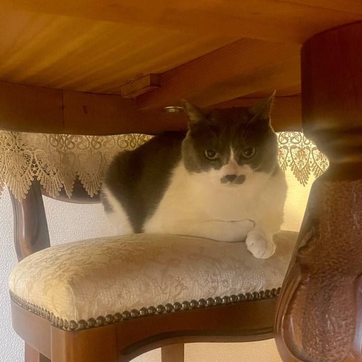 E02ae9c5 abf2 4ac2 87ab 9775f4cdcc34 1672644954666