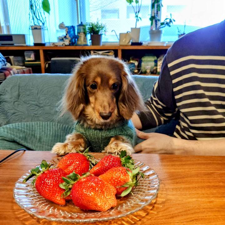 E02b0206 f2c4 47e9 8a52 84dd125d2085 1741133561391