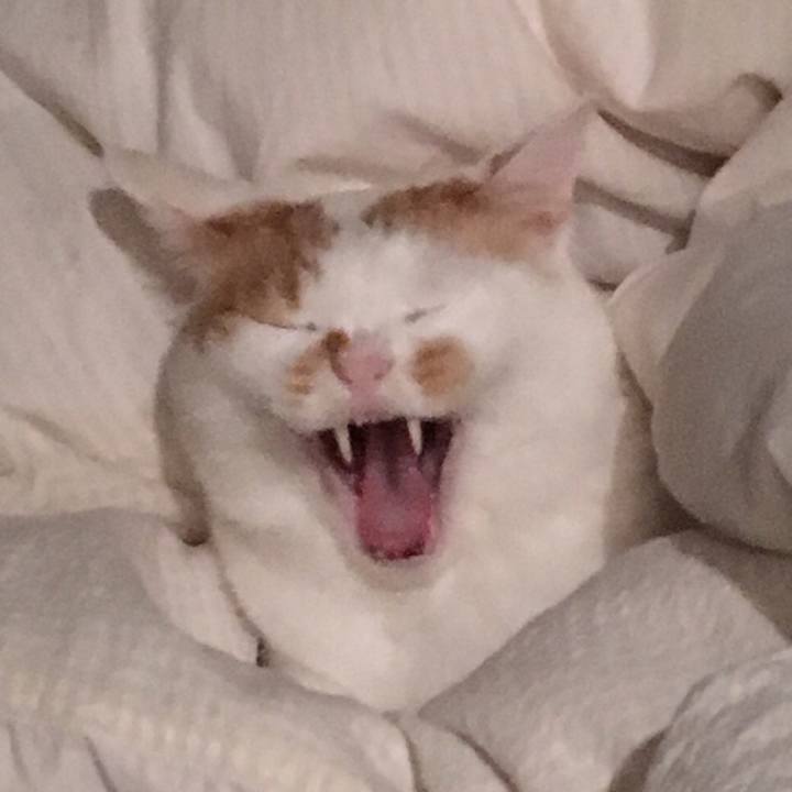 E02b3742 c77c 4c1a b458 beb083f54ee3 1510059812839