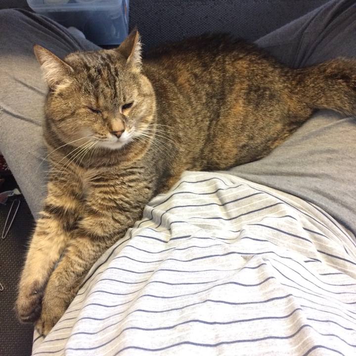 E02b7044 54a8 4f23 a328 e74cc54d33da 1588220422841