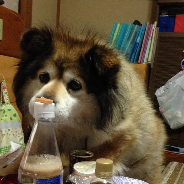 E02b7c9d 5ebc 4cfd 9f28 a24090caf02b 1568460087254