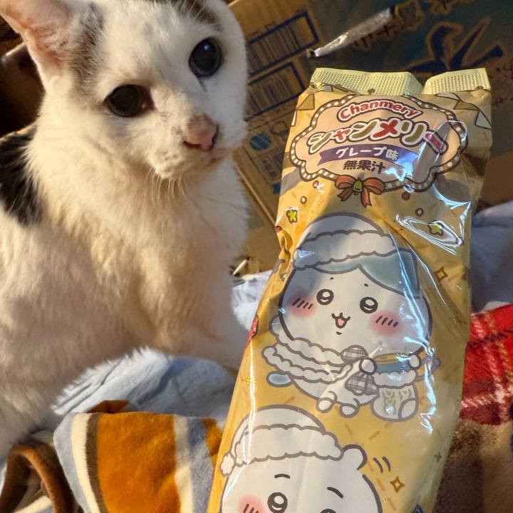 E02b908b 264c 466c ad6a 8134aa6e0f76 1766299775305