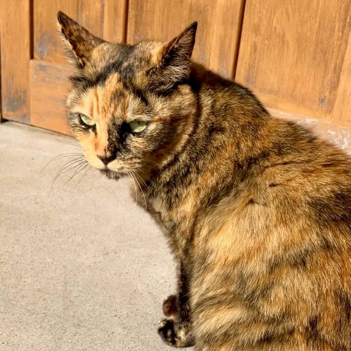 E02b99a3 6fa1 4a7a bfcb ddb4b394016b 1732163050291