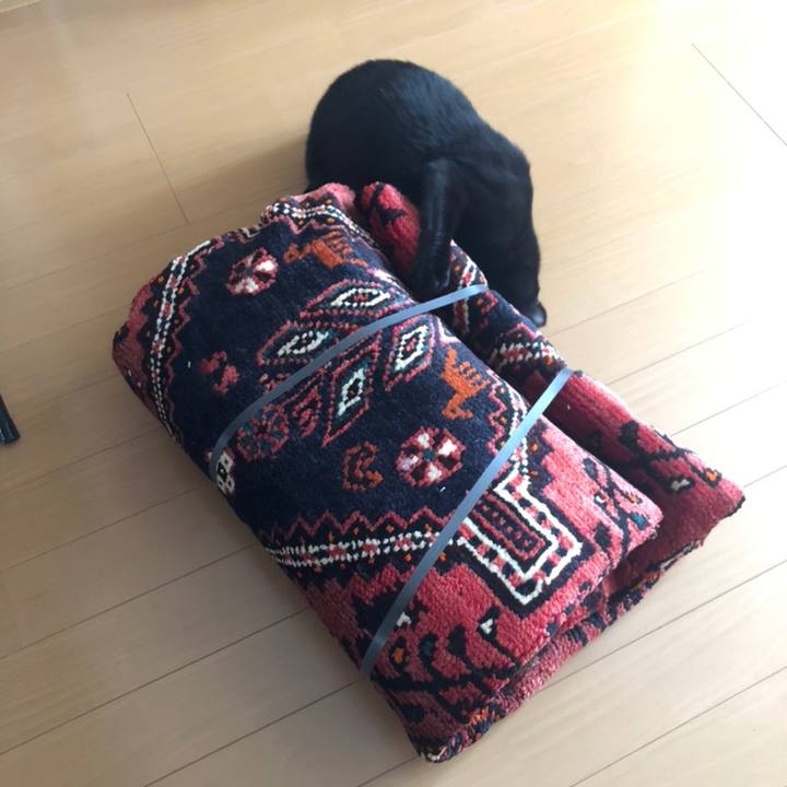 E02ba39c ebc3 4f2b bdee 1c02243e074e 1558236096678