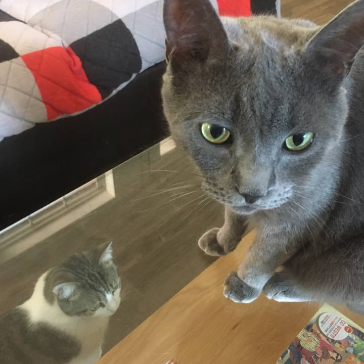 E02bb896 3a6e 4a5f b7b8 4b575f7388e5 1656549616736