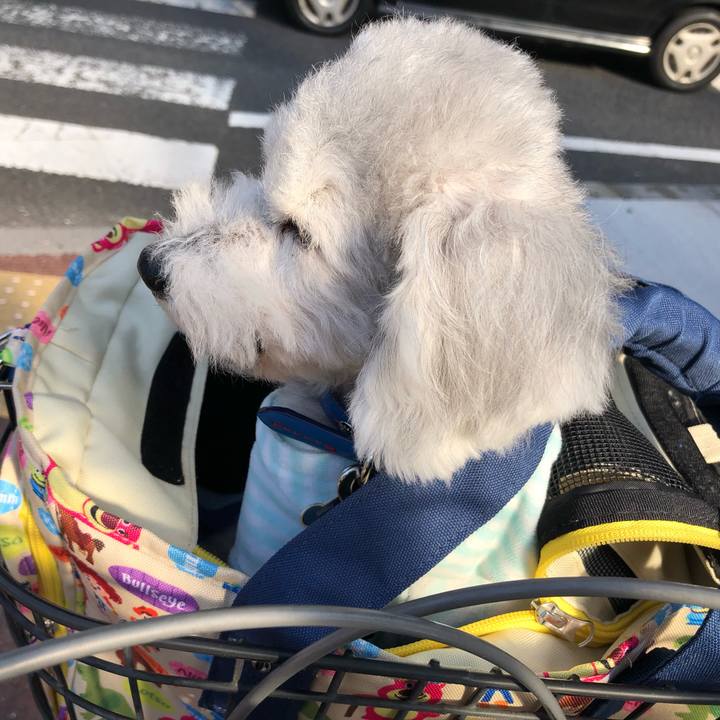 E02bb937 340c 419b ac5b 15b8bcc6987d 1633307401741