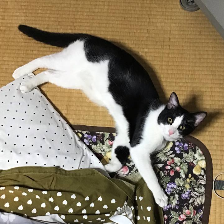 E02be182 f23c 4f10 a5c9 c882d1434d01 1634632113386