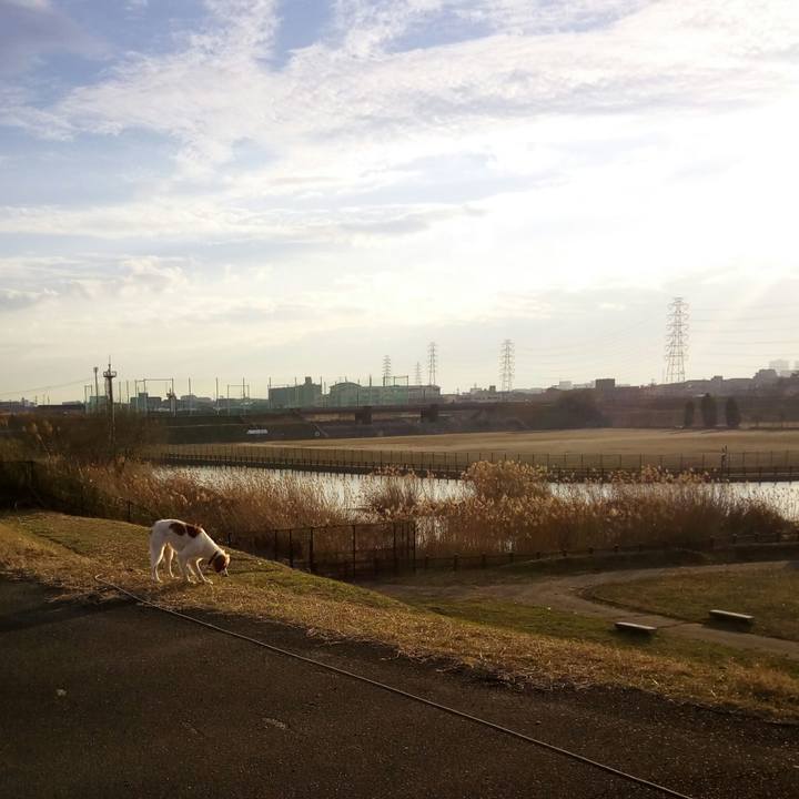 E02bfcbc f9ae 4411 b29d f315c9400766 1516014710128