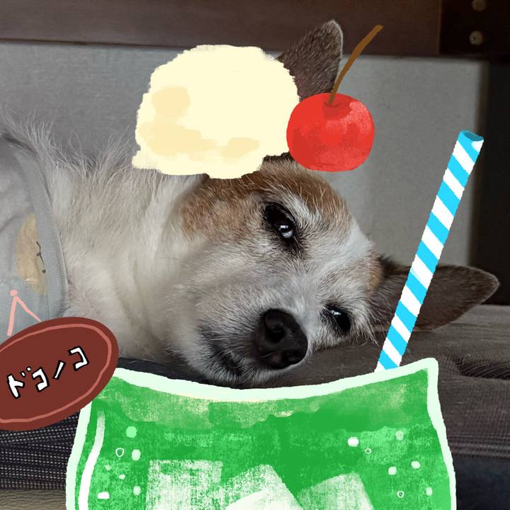 E02c5bc5 efd2 452f bddb 14f0ebc3b33b 1755302634821