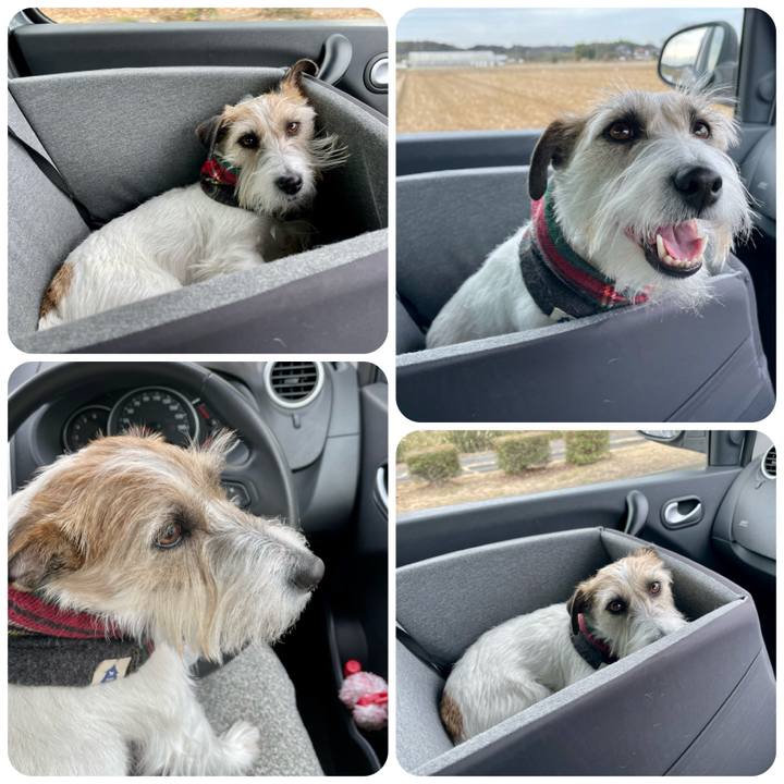 E02c5bfc 018c 4220 ba1c 78be6f851e54 1675394267576