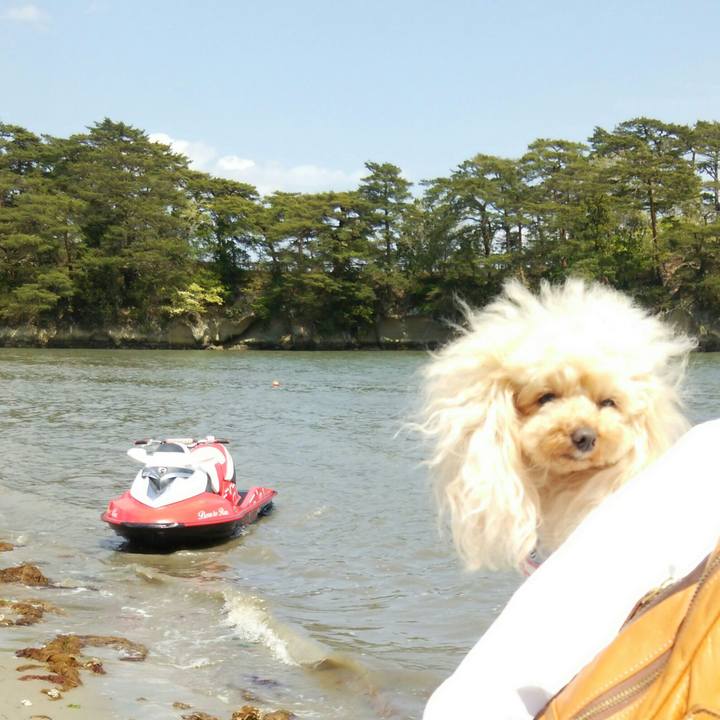 E02c5cec 0a59 405e 931b e7cd5f4430bd 1557394580558