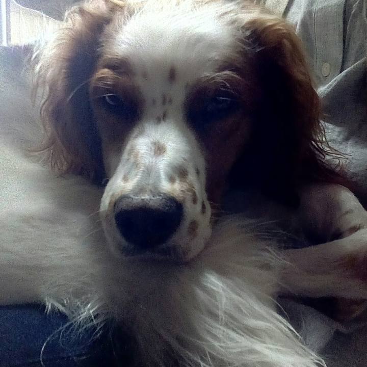 E02c60c8 4840 47e6 8ebb cc7a0d410e54 1508805288035