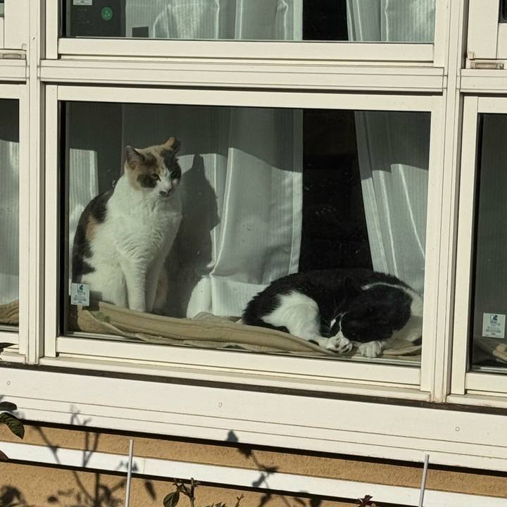 E02c6c0d 4976 4be2 a86a 7462d32a2db1 1769835937042