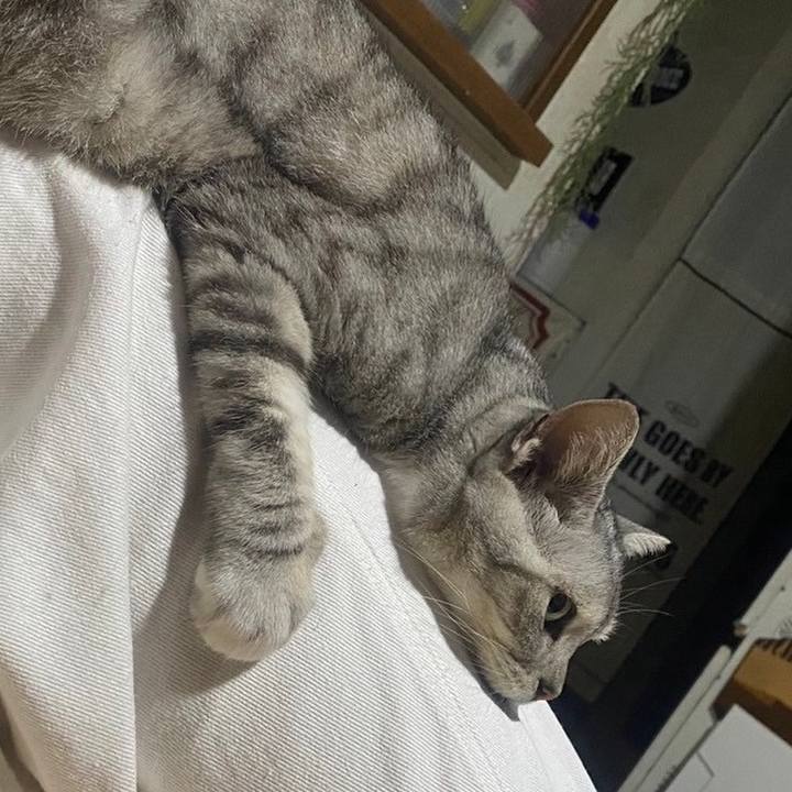 E02cd0bc 195f 438b 9fb7 5ac2019fddfb 1723301381658