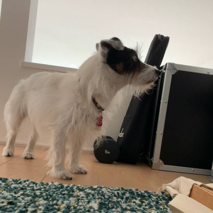 E02d117f 26f1 4d17 8a8c 47d75d447cff 1690868228132