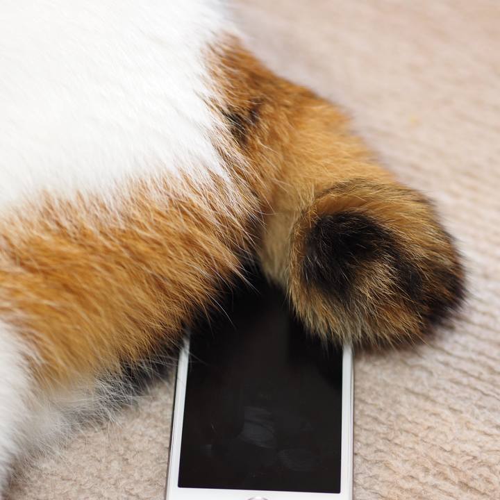 E02d45b5 7aa7 472c 9bc2 bdb625fc59e2 1573508734132