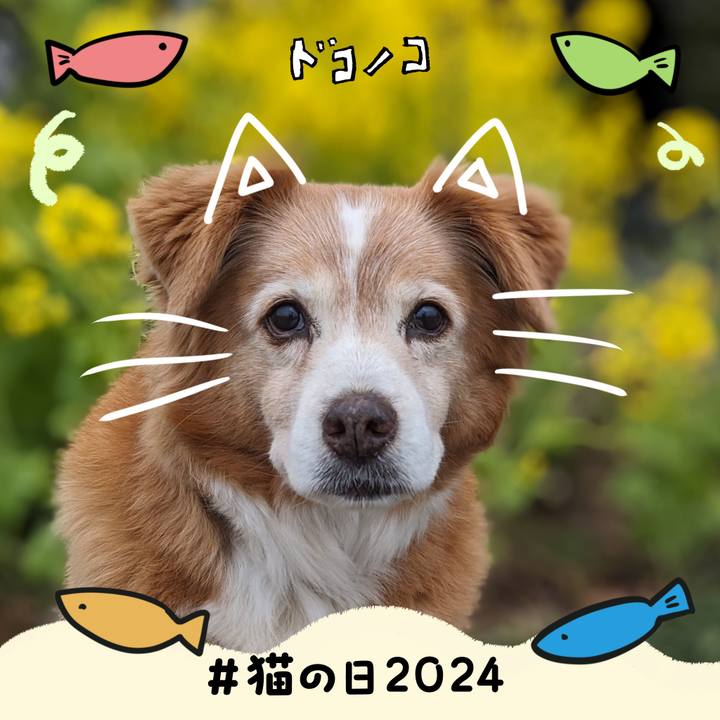 E02da904 cfa0 48db baa2 1f115026571f 1708561693864