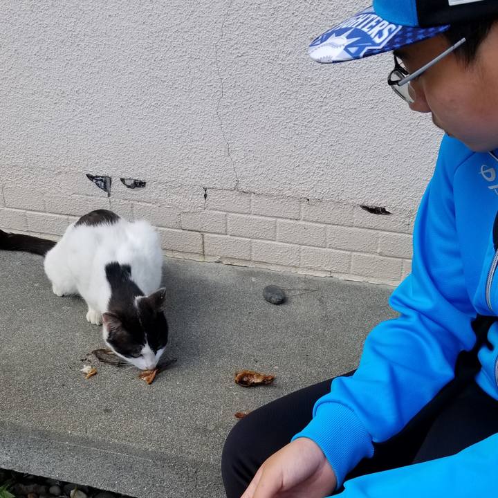 E02db181 b6b9 4d29 b5b6 fac011427e11 1626096195869