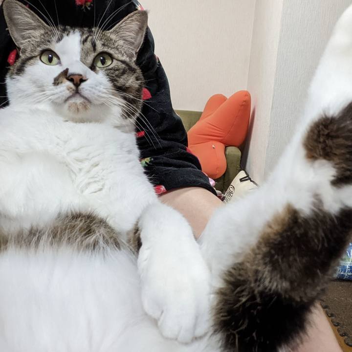 E02de481 036f 4247 83ff 632d310e99aa 1669070795672