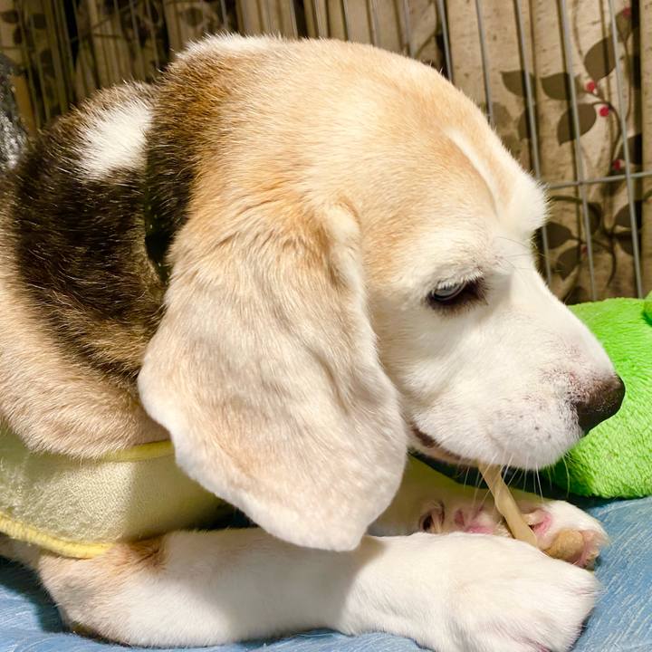 E02e59c4 ff2a 494b 9999 fe0140f7998b 1655904050769