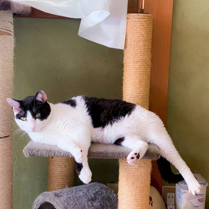 E02e7e46 730c 43de abf9 417c037f7e0a 1563930522556