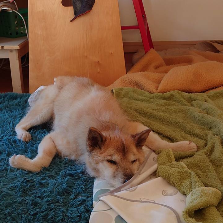 E02e831f 3203 4054 aaef b10fef0a7318 1648855644686