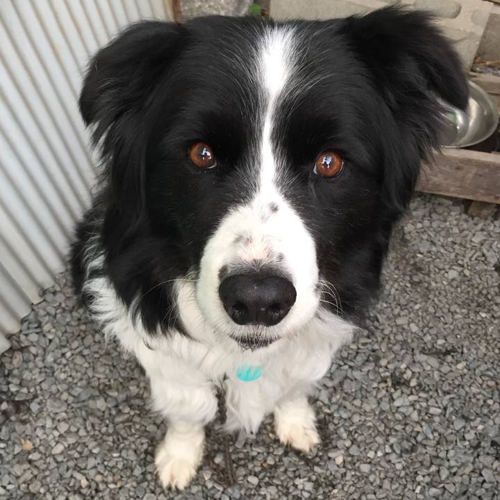 E02e842e 7867 47d6 a293 9394d39ca1bc 1582586257924