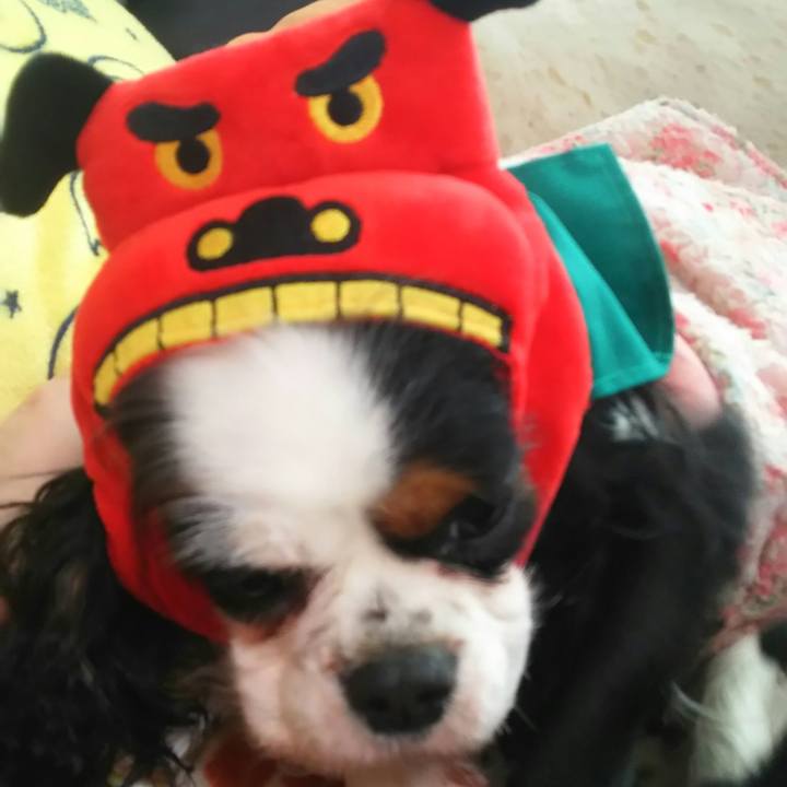 E02ebb5e ff19 43db 95bd 548ee10aa154 1515301490751