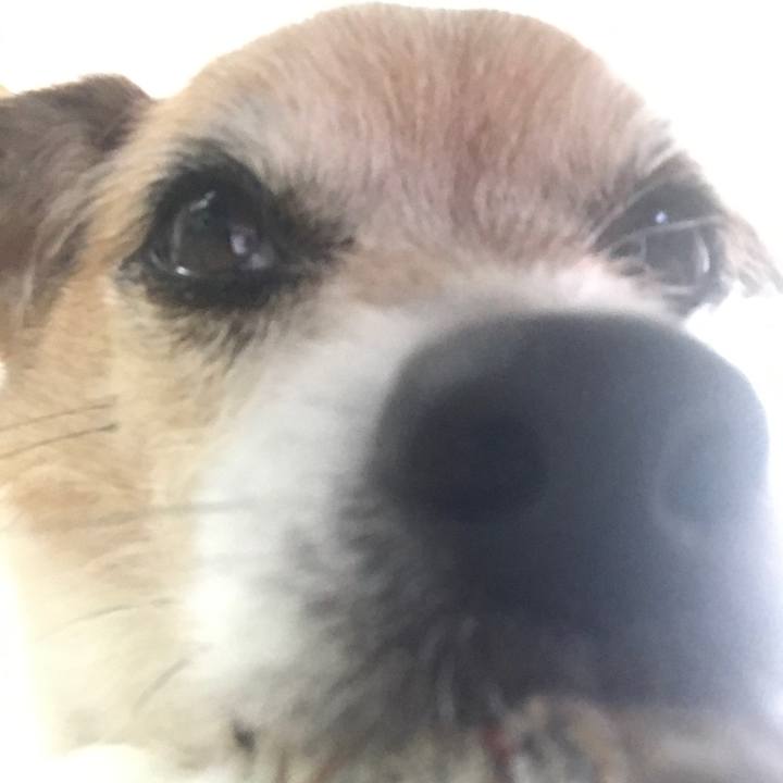 E02eccf4 6fbd 492c 9ac6 e36126d95b45 1649744108602