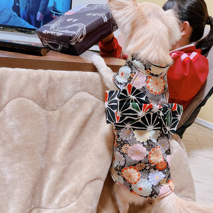 E02ece01 f95b 43d1 8853 98edc8fb3e3e 1673680448091