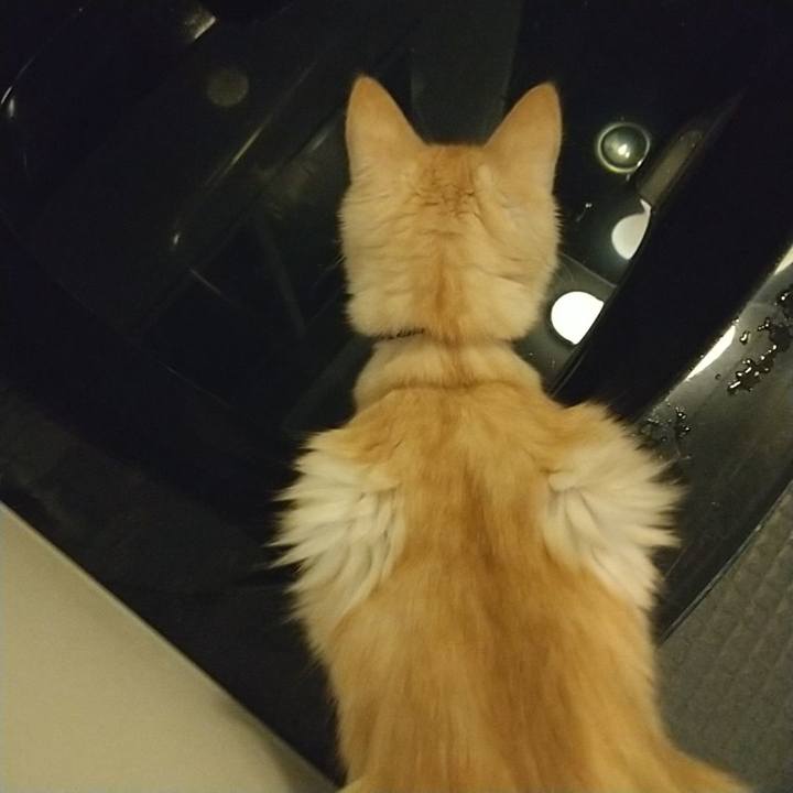 E02ee69e b039 4d8c b42f 67179af2c68e 1610531808962