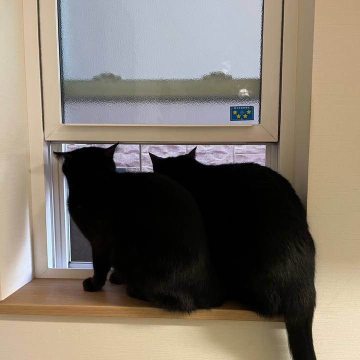 E02ef0dd f517 42f5 b34e 83c58a554b28 1643254914633