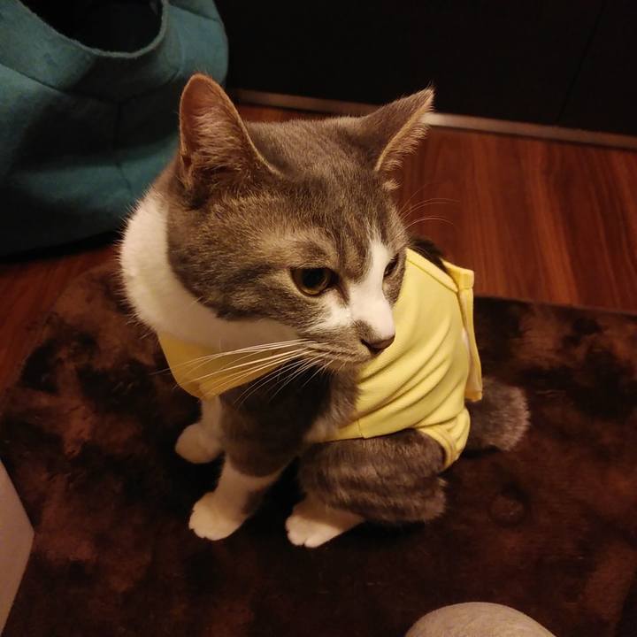 E02f10ff 2248 408b a3bb b4fe32cb2241 1584364393538