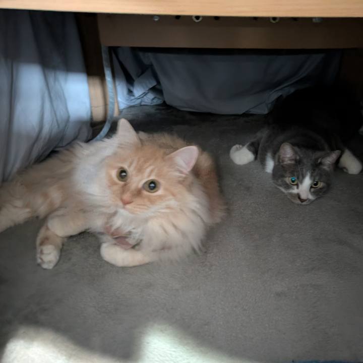 E02f1b1d 48d4 4b73 a2b5 67d9f9682ac9 1743998800677