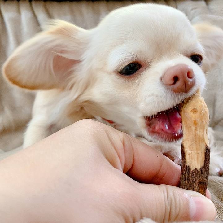 E02f2fdb e98e 433c 9544 77b3d0d20363 1615518601231