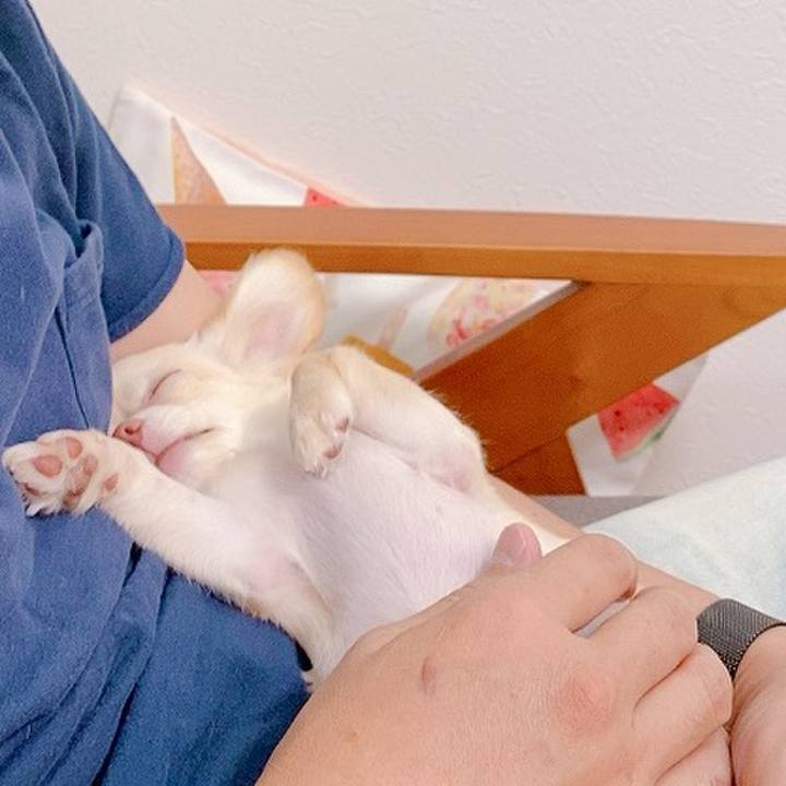 E02f4254 4fb4 488d 98c0 bd66e2f0f8b1 1597480224777