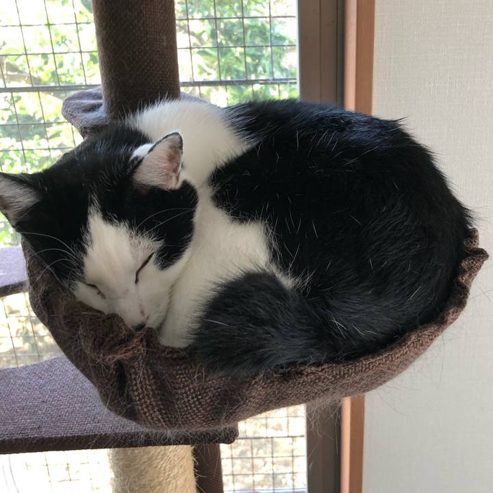 E02f566e 3025 4236 aa02 9cfcfd025d92 1570684692030