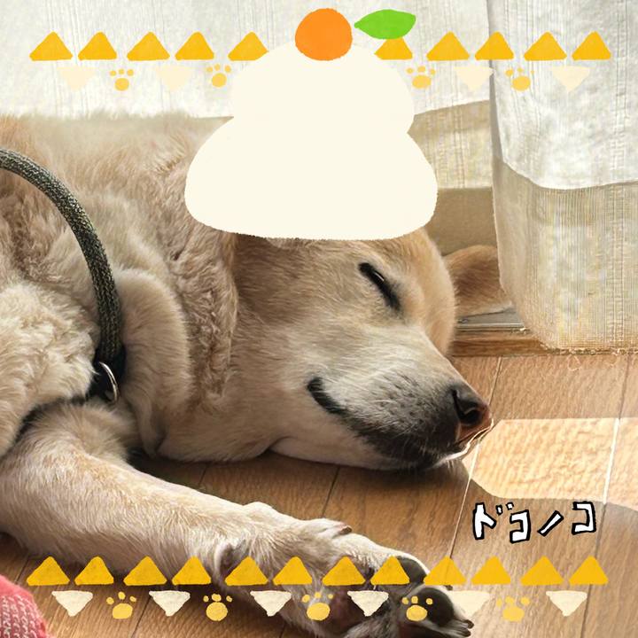 E02f87f8 c383 464b 9f4e fe2c722fddc6 1704077349363