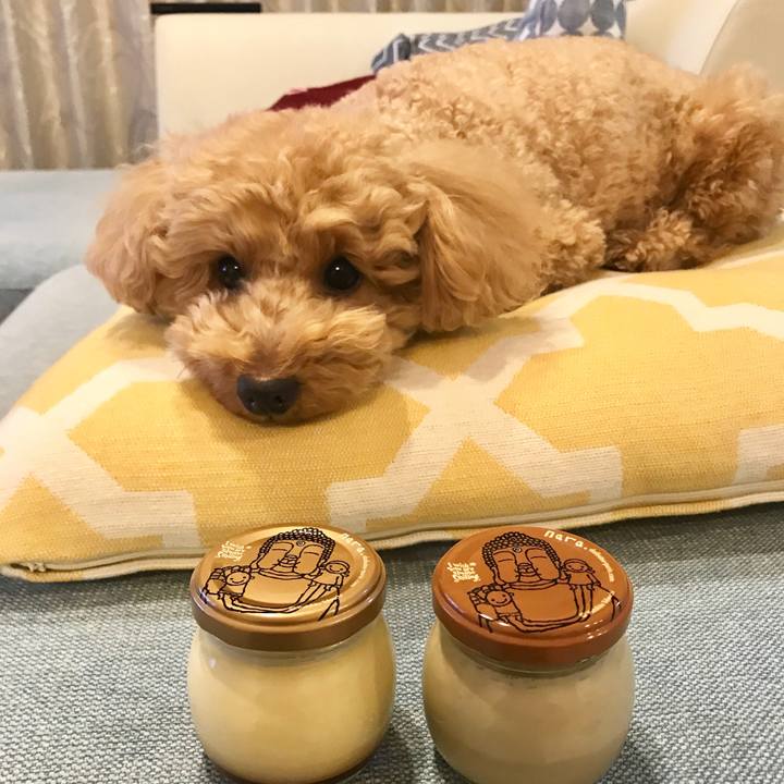 E02f9490 5523 4bd4 ab34 0b04f0e8486c 1555336996959