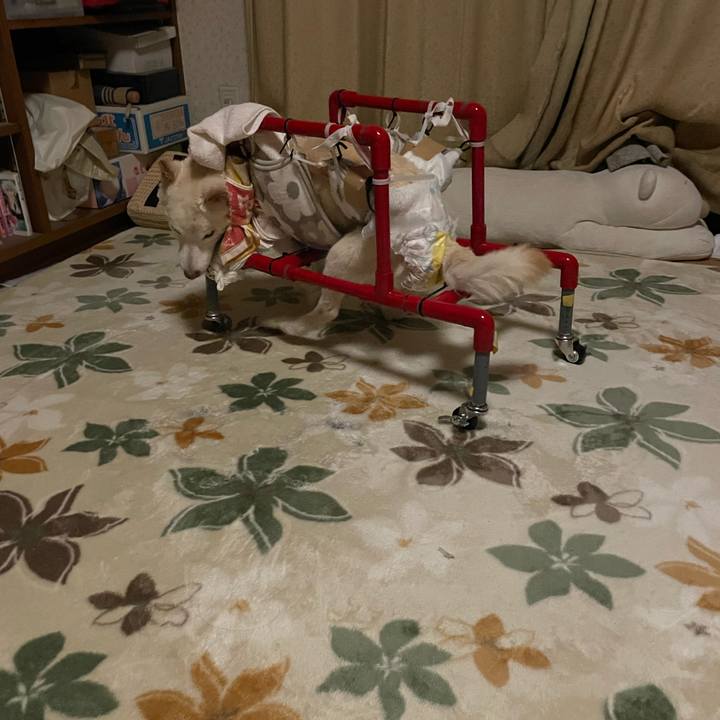 E02fb2b9 86ed 41aa 98ef b27c7c0c361f 1673206972948