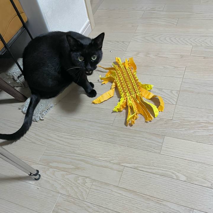 E02fba03 7f2a 41c9 a274 6fa81b4066f8 1698408949949