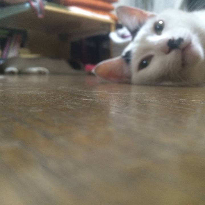 E02fd171 3d98 47c0 aa39 3f373cdf2377 1530362382424