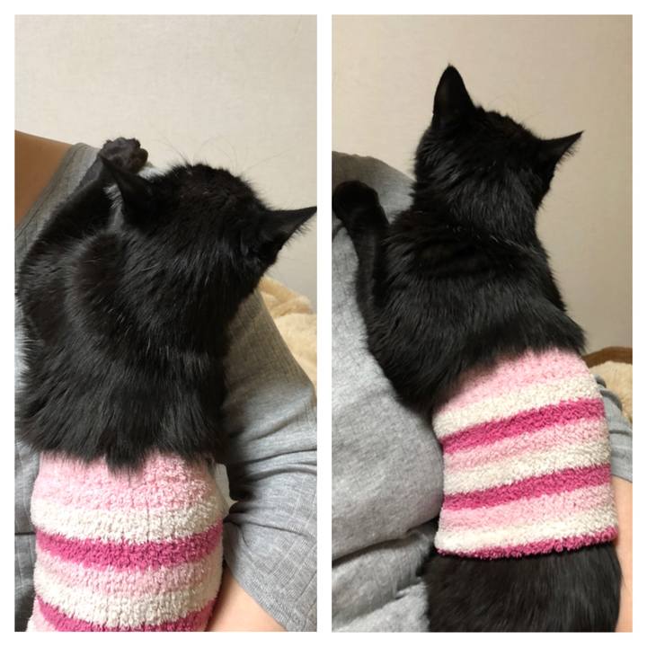 E02fded0 f302 4926 8381 edd359b2659b 1587476791812