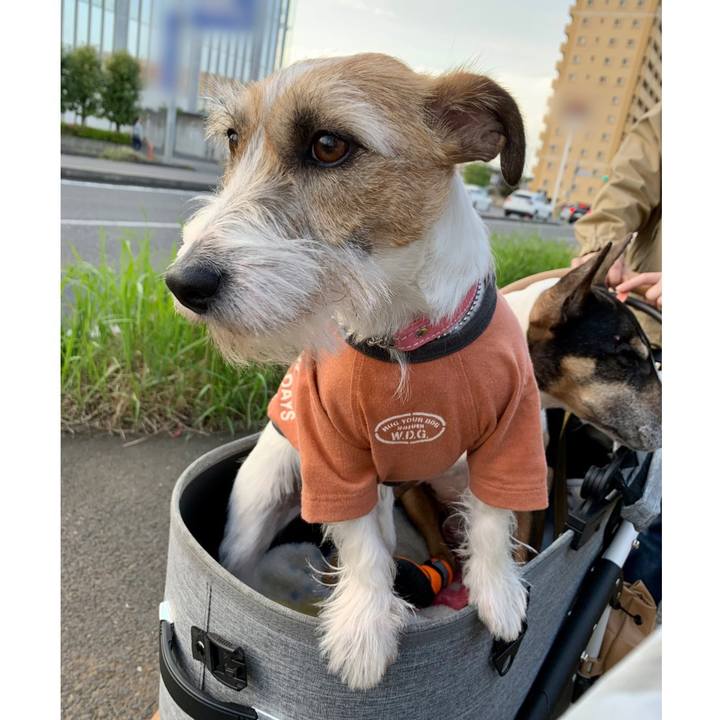 E02fe691 d8b8 4464 90c2 c8f3d9fe6b5b 1619398976263