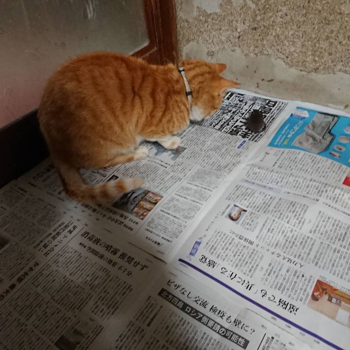 E03004a8 06dd 4d52 87ea 121d1311f5ef 1591470480926