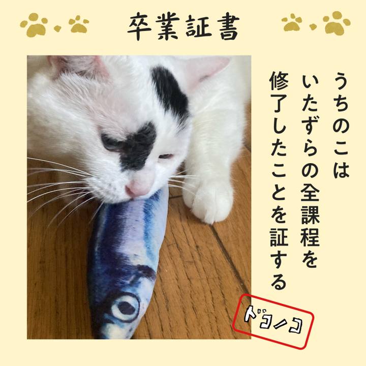 E0302d1b 34c4 4c4e af52 400b8ad13751 1772203504679