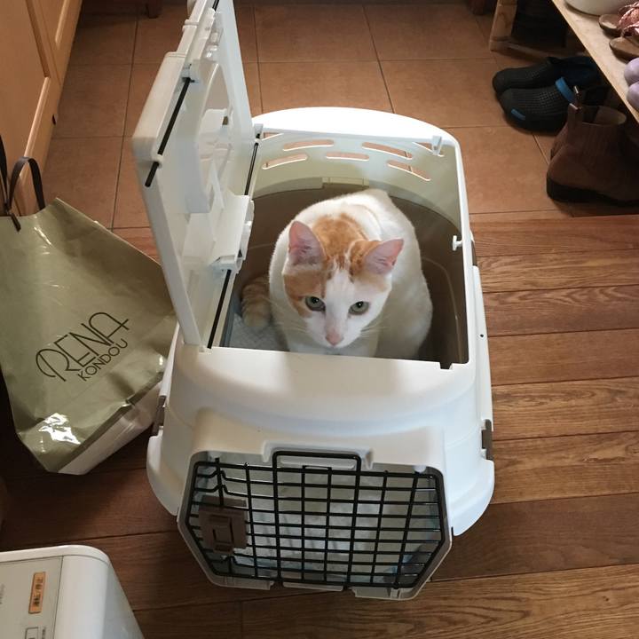 E0302eb6 bae0 448d 8753 cc09d7be0a2e 1536150110858